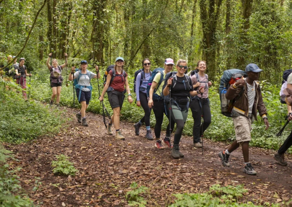 6-days-kilimanjaro-climb-rongai-route1 6-days-kilimanjaro-climb-rongai-route1
