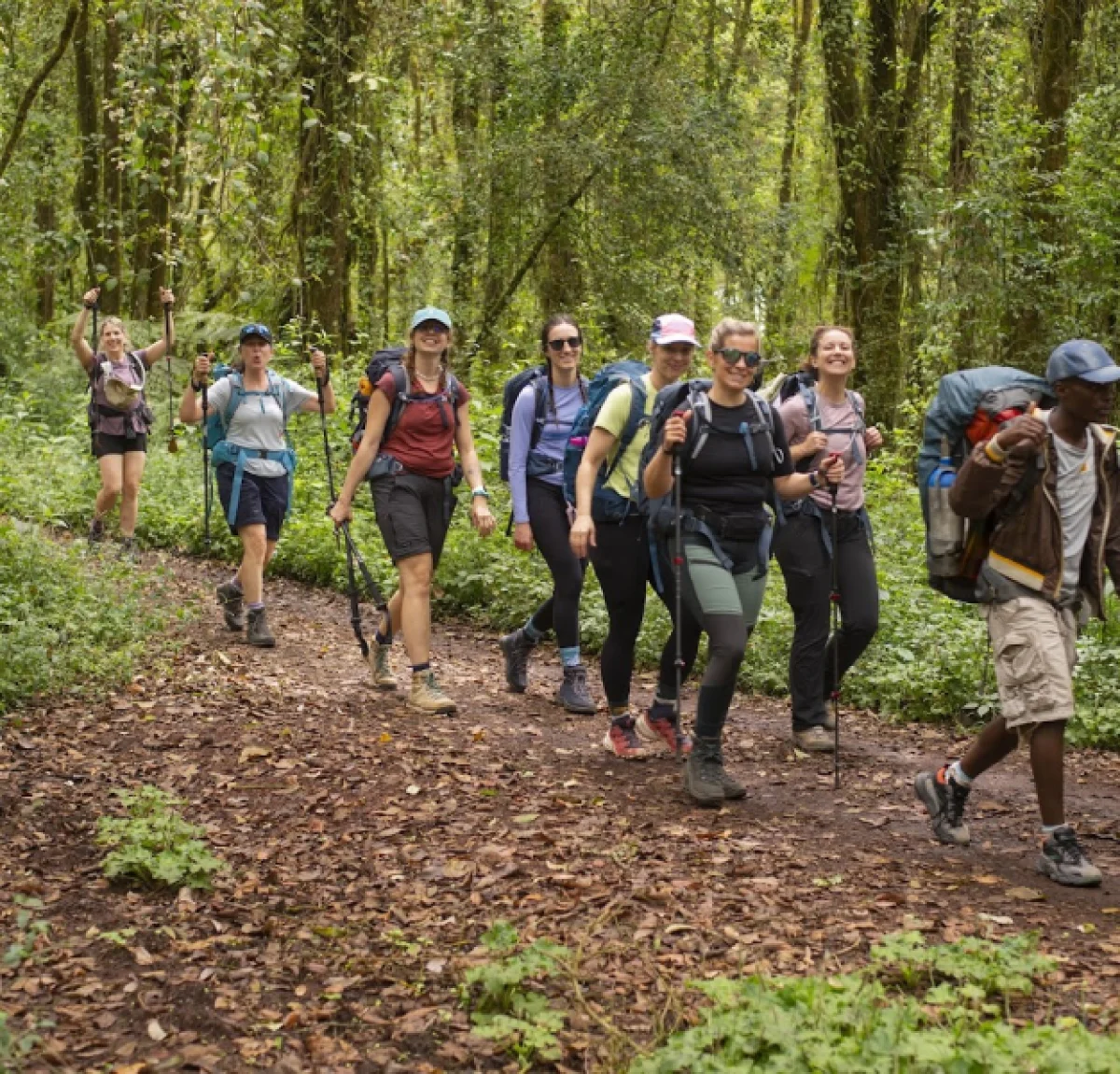 6-days-kilimanjaro-climb-rongai-route1 6-days-kilimanjaro-climb-rongai-route1