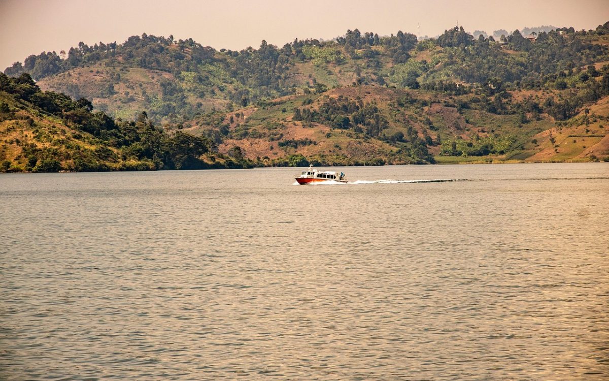 kivu kivu